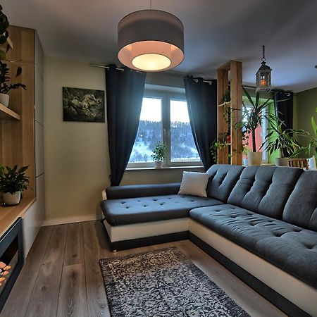 Apartament "Ludwik" Daire Ustrzyki Dolne Dış mekan fotoğraf